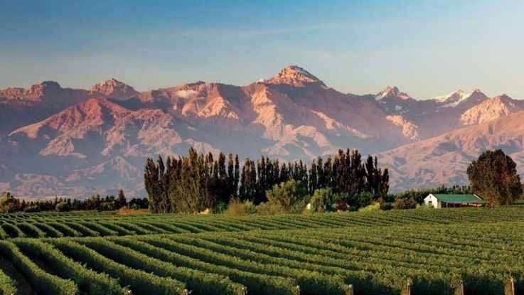 Buenos Aires y Mendoza, Vino y Tango, 07 días
